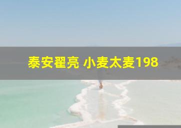 泰安翟亮 小麦太麦198